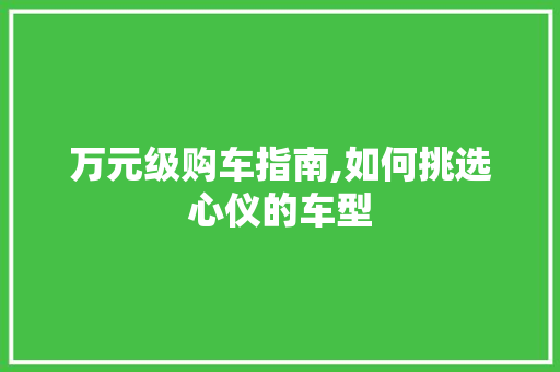 万元级购车指南,如何挑选心仪的车型