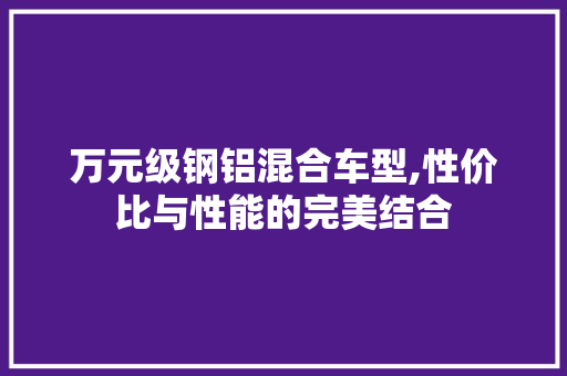 万元级钢铝混合车型,性价比与性能的完美结合