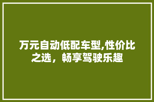 万元自动低配车型,性价比之选，畅享驾驶乐趣