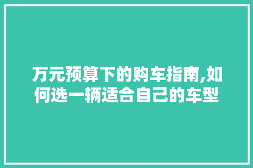 万元预算下的购车指南,如何选一辆适合自己的车型