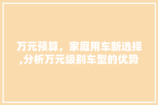 万元预算，家庭用车新选择,分析万元级别车型的优势与特点