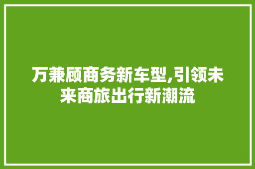 万兼顾商务新车型,引领未来商旅出行新潮流