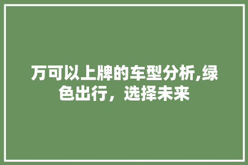 万可以上牌的车型分析,绿色出行，选择未来