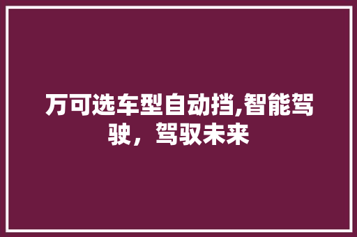 万可选车型自动挡,智能驾驶，驾驭未来