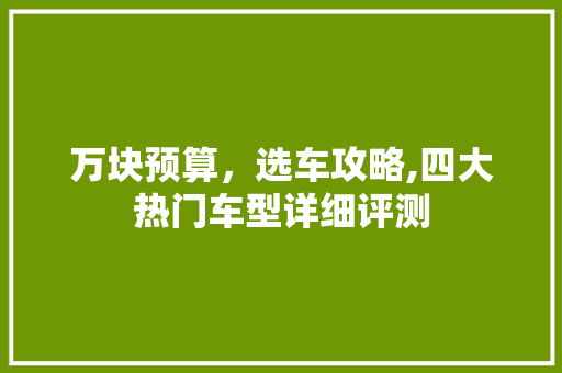 万块预算，选车攻略,四大热门车型详细评测