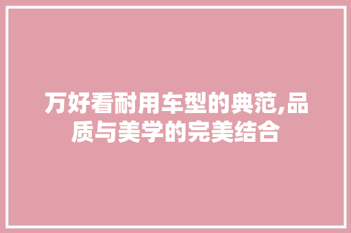 万好看耐用车型的典范,品质与美学的完美结合