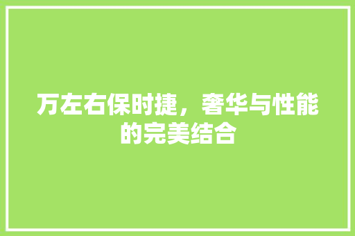 万左右保时捷，奢华与性能的完美结合