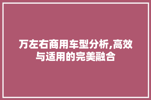 万左右商用车型分析,高效与适用的完美融合