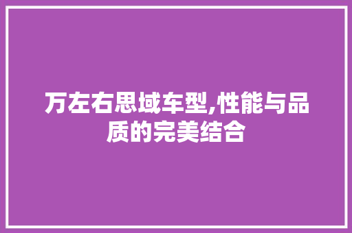 万左右思域车型,性能与品质的完美结合