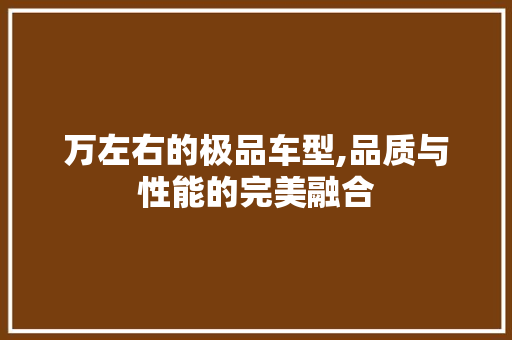 万左右的极品车型,品质与性能的完美融合