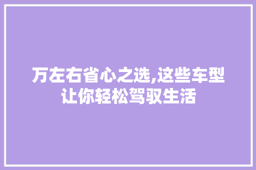 万左右省心之选,这些车型让你轻松驾驭生活