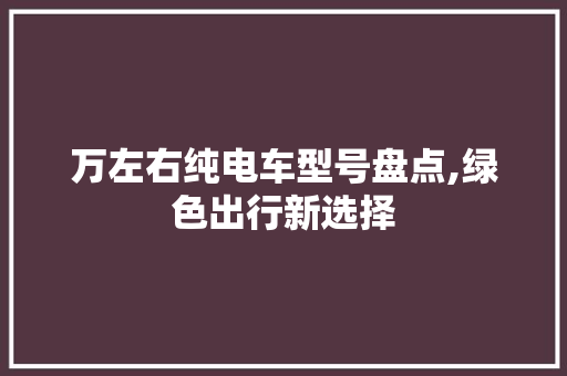 万左右纯电车型号盘点,绿色出行新选择