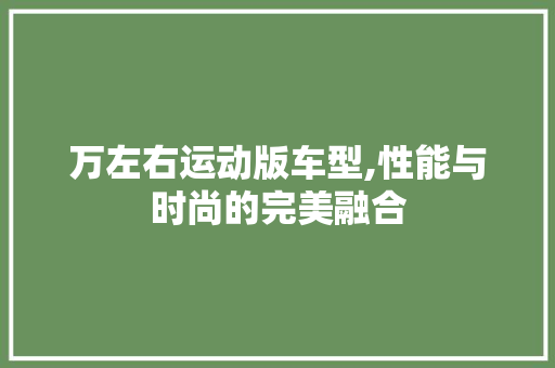 万左右运动版车型,性能与时尚的完美融合