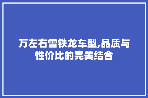 万左右雪铁龙车型,品质与性价比的完美结合