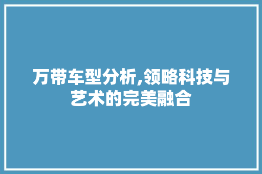 万带车型分析,领略科技与艺术的完美融合