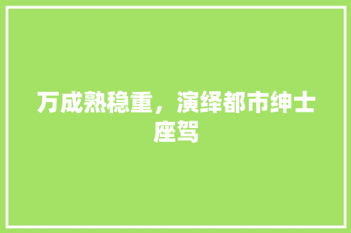 万成熟稳重，演绎都市绅士座驾