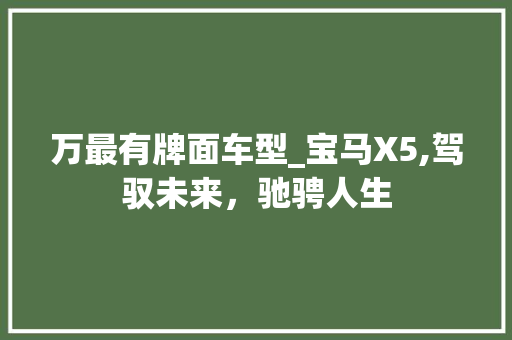 万最有牌面车型_宝马X5,驾驭未来，驰骋人生