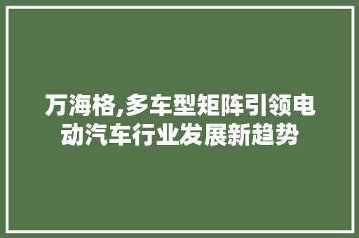 万海格,多车型矩阵引领电动汽车行业发展新趋势