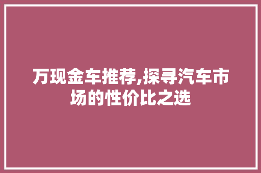 万现金车推荐,探寻汽车市场的性价比之选