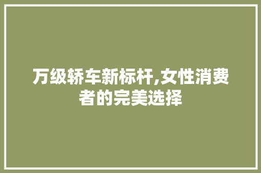 万级轿车新标杆,女性消费者的完美选择