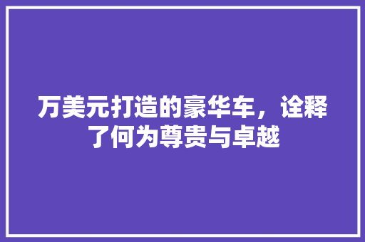 万美元打造的豪华车，诠释了何为尊贵与卓越