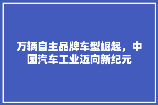 万辆自主品牌车型崛起，中国汽车工业迈向新纪元