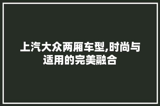 上汽大众两厢车型,时尚与适用的完美融合