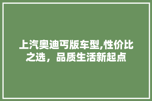 上汽奥迪丐版车型,性价比之选，品质生活新起点