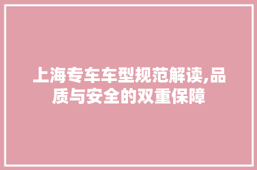 上海专车车型规范解读,品质与安全的双重保障