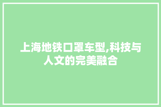 上海地铁口罩车型,科技与人文的完美融合