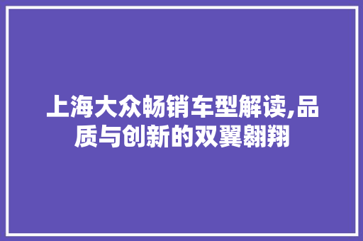 上海大众畅销车型解读,品质与创新的双翼翱翔