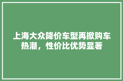 上海大众降价车型再掀购车热潮，性价比优势显著