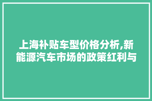 上海补贴车型价格分析,新能源汽车市场的政策红利与未来展望