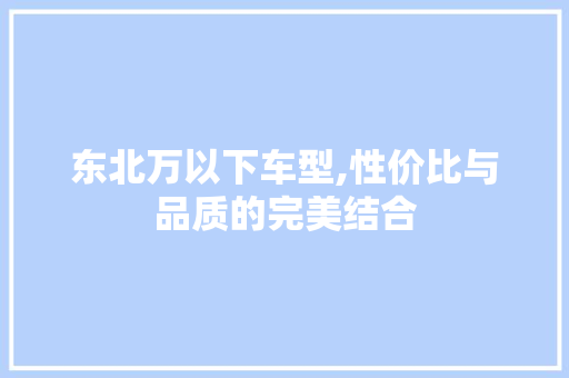 东北万以下车型,性价比与品质的完美结合