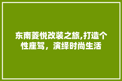 东南菱悦改装之旅,打造个性座驾，演绎时尚生活