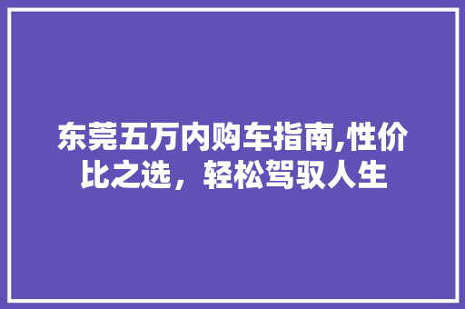 东莞五万内购车指南,性价比之选，轻松驾驭人生