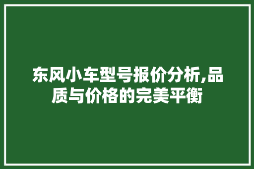 东风小车型号报价分析,品质与价格的完美平衡