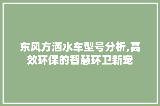 东风方洒水车型号分析,高效环保的智慧环卫新宠