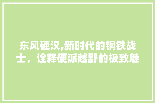 东风硬汉,新时代的钢铁战士，诠释硬派越野的极致魅力