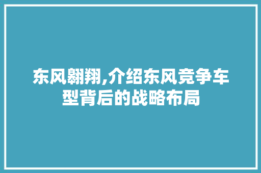 东风翱翔,介绍东风竞争车型背后的战略布局