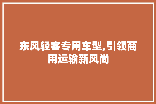 东风轻客专用车型,引领商用运输新风尚