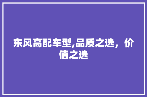 东风高配车型,品质之选，价值之选