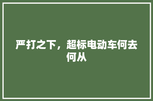 严打之下，超标电动车何去何从