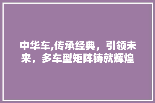 中华车,传承经典，引领未来，多车型矩阵铸就辉煌