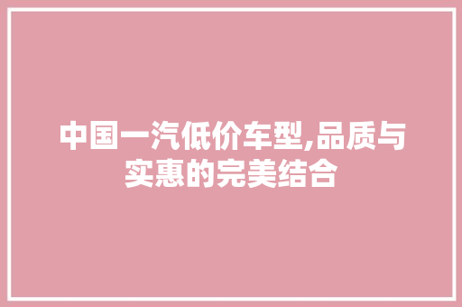 中国一汽低价车型,品质与实惠的完美结合