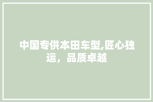 中国专供本田车型,匠心独运，品质卓越