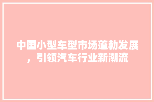 中国小型车型市场蓬勃发展，引领汽车行业新潮流