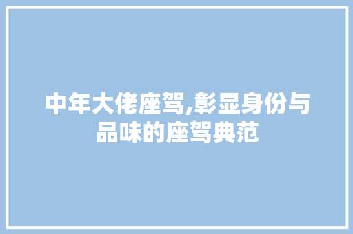 中年大佬座驾,彰显身份与品味的座驾典范