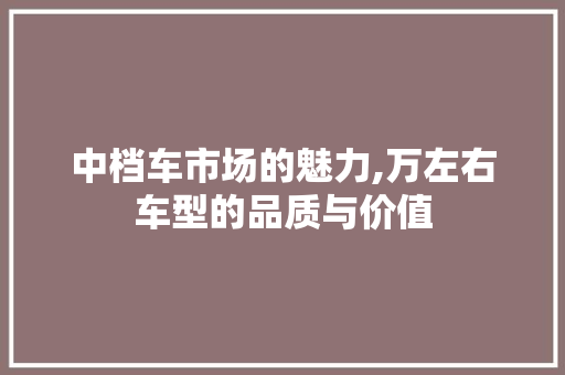 中档车市场的魅力,万左右车型的品质与价值