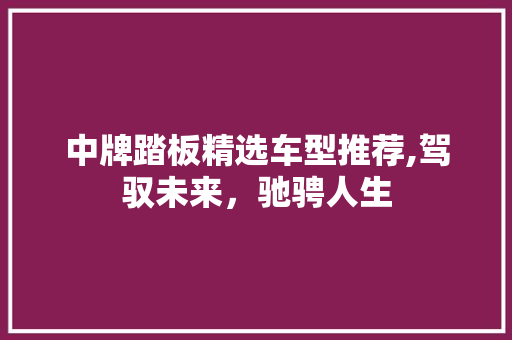 中牌踏板精选车型推荐,驾驭未来，驰骋人生